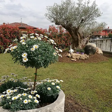 Bed & Breakfast Al Secomoro *