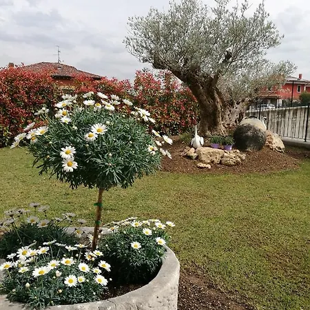 Bed & Breakfast Al Secomoro *